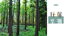 環(huán)保進行時 | 華洲木業(yè)，用行動為地球發(fā)聲