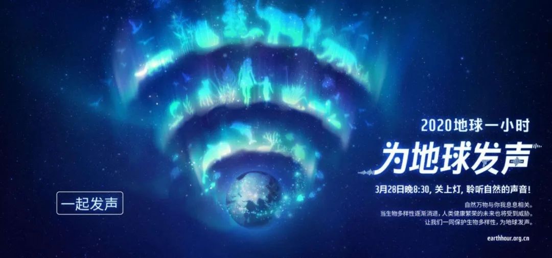 環(huán)保進(jìn)行時(shí) | 華洲木業(yè)，用行動(dòng)為地球發(fā)聲(圖1)