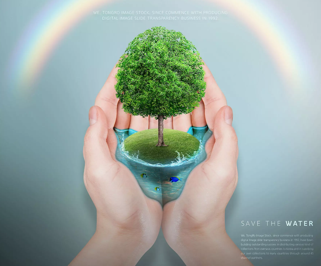 華洲木業(yè)，正在崛起的環(huán)保王國(圖1)