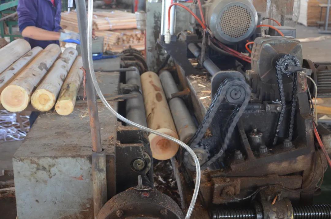 明星產(chǎn)品 | 華洲實木多層板誕生記！(圖3)