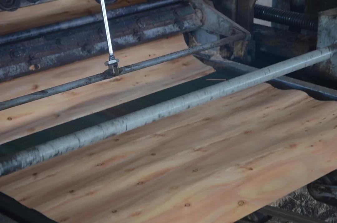 明星產(chǎn)品 | 華洲實木多層板誕生記！(圖4)