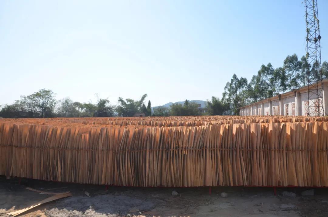 明星產(chǎn)品 | 華洲實木多層板誕生記！(圖6)