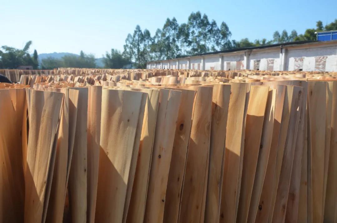 明星產(chǎn)品 | 華洲實木多層板誕生記！(圖7)