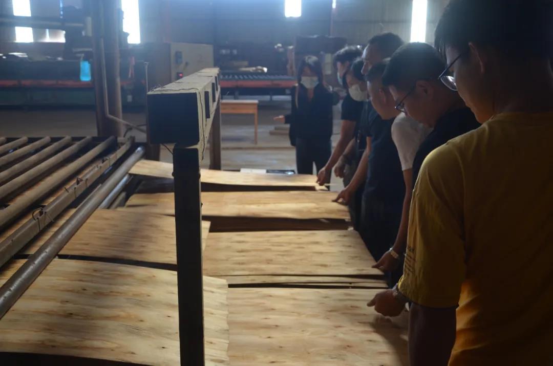 明星產(chǎn)品 | 華洲實木多層板誕生記！(圖8)