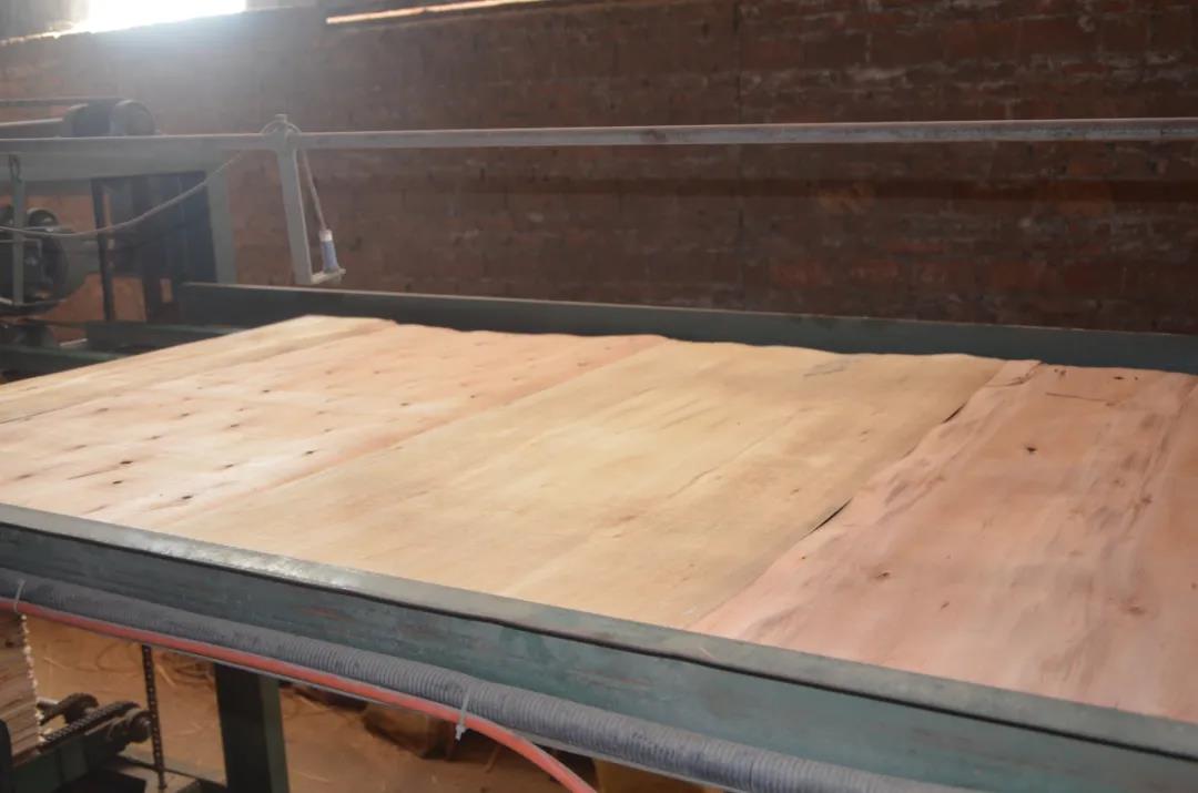 明星產(chǎn)品 | 華洲實木多層板誕生記！(圖10)