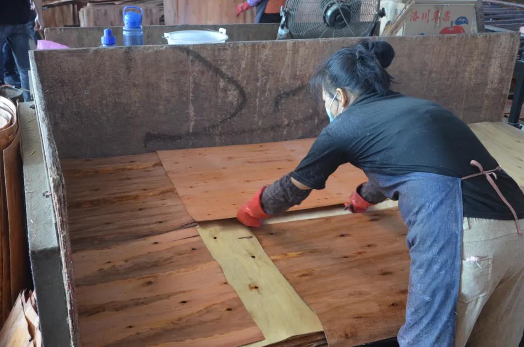 明星產(chǎn)品 | 華洲實木多層板誕生記！(圖12)