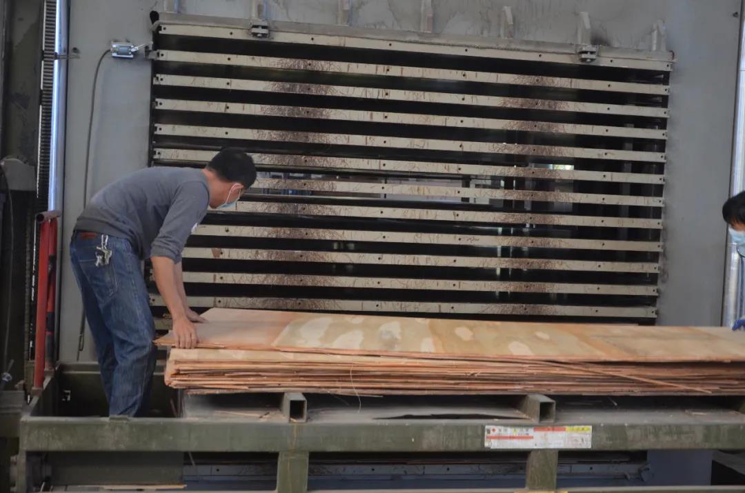 明星產(chǎn)品 | 華洲實木多層板誕生記！(圖15)