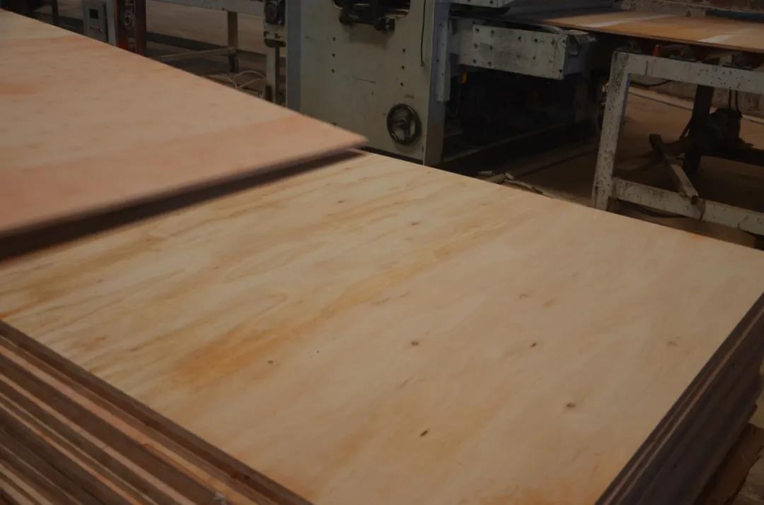 明星產(chǎn)品 | 華洲實木多層板誕生記！(圖16)