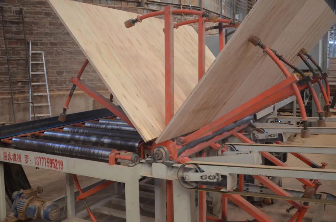 明星產(chǎn)品 | 華洲實木多層板誕生記！(圖17)