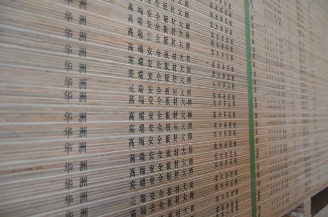 明星產(chǎn)品 | 華洲實木多層板誕生記！(圖23)