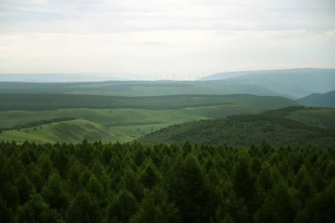 推薦 | 選華洲無(wú)醛添加實(shí)木顆粒板，讓家人遠(yuǎn)離甲醛傷害！(圖1)