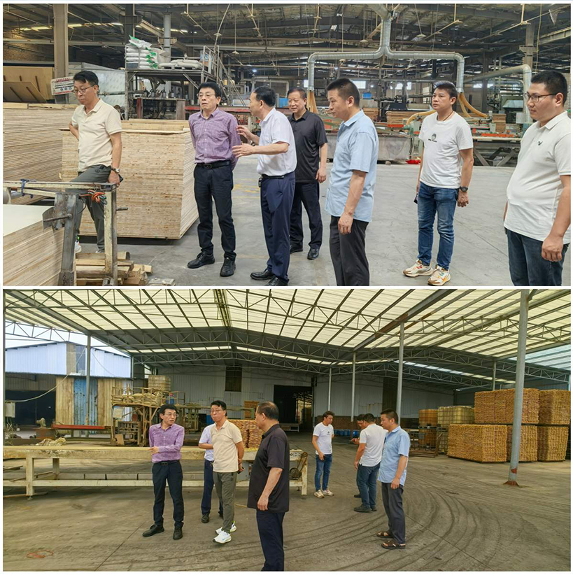 【綠色領(lǐng)航·智慧交融】華洲木業(yè)董事長率團(tuán)深訪鐘氏木業(yè)，共譜江西綠色發(fā)展新篇章(圖4)